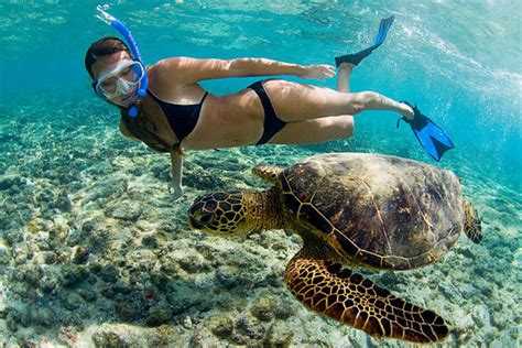 Snorkeling at Kahaluu Beach Park – Tales of a vanlife couple