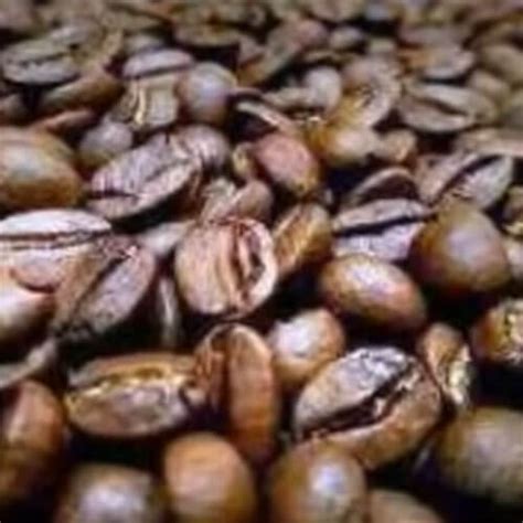 Robusta Coffee Beans & What to Know