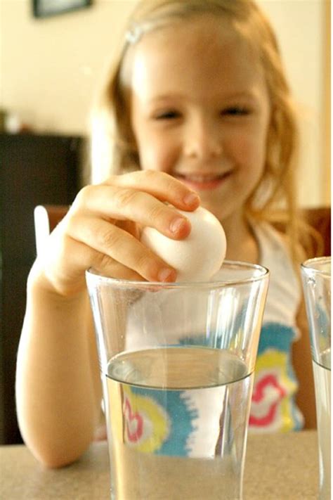 Egg Science Experiments For Kids