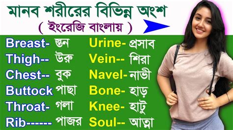 Body Parts names in Bangla - Body parts Names - Body Parts - Body parts Names for you - YouTube