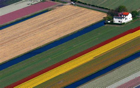 These Aerial Photos of Dutch Tulip Fields Are Stunning | Tulip fields ...