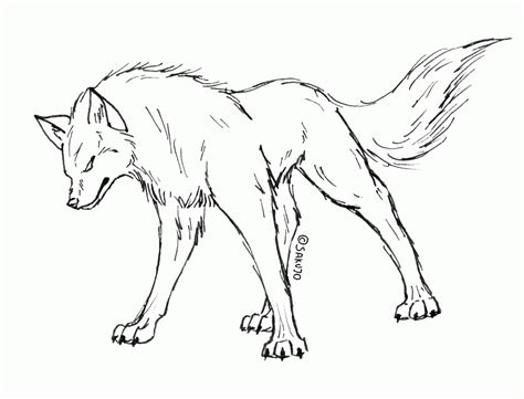 Realistic Drawings Of Wolves Growling Images & Pictures - Becuo | Wolf sketch, Wolf drawing ...