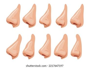 630 Man Profile Rhinoplasty Images, Stock Photos, 3D objects, & Vectors | Shutterstock