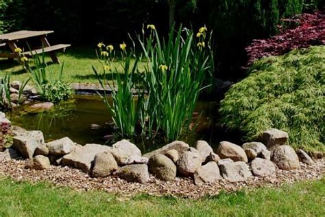 Using Rocks In Pond Design - Water Garden Advice