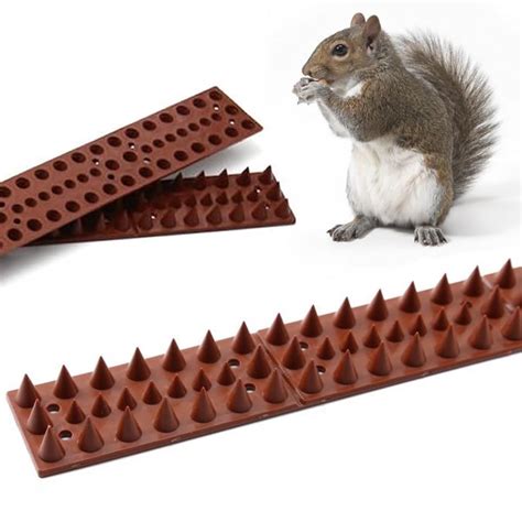 * Anti Squirrel Spikes - Buy Online & Save | Free USA Shipping