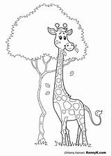 Dibujo Para Colorear jirafa  Img 20049 Images Giraffe coloring Pages sketch template