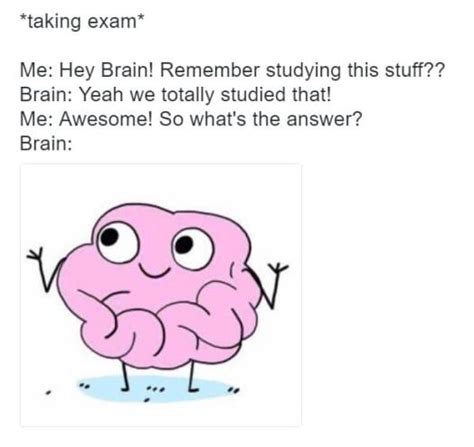 60 Exam Memes That Will Make You Laugh Instead Of Cry | Funny pictures ...