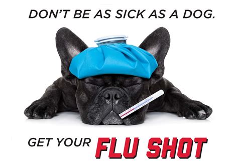 Free flu shots available at University Health Center | Announce | University of Nebraska-Lincoln
