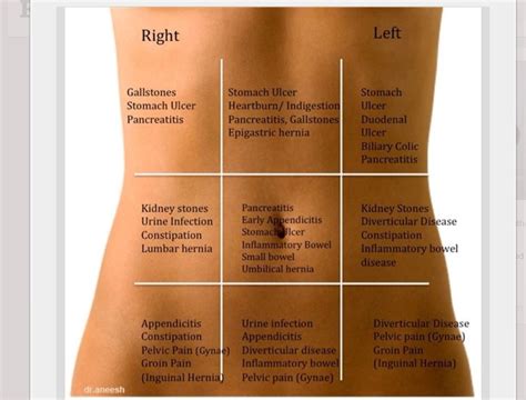 Stomach Gas And Upper Back Pain - PELAJARAN