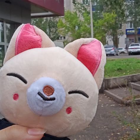 Foxi.ny Skzoo Stray Kids Plushie – My Kawaii Heart