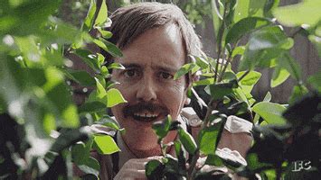 Bushes GIFs - Find & Share on GIPHY