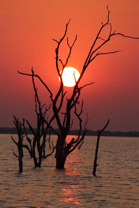 Lake Kariba Sunset Photograph by Shelley Mitchell | Pixels