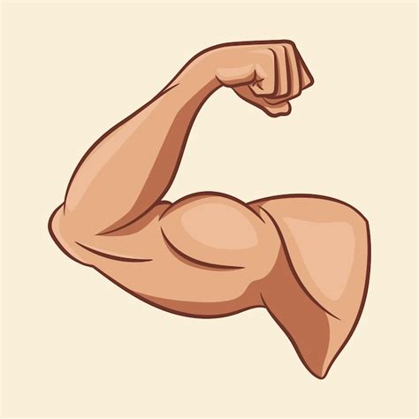 Premium Vector | Strong arm muscles cartoon illustration