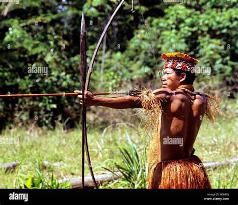 Indian, indio or indigenous warrior pointing a bow and arrow, Amazon ...