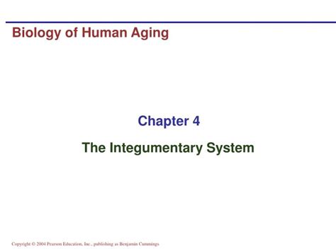 PPT - Biology of Human Aging PowerPoint Presentation, free download ...