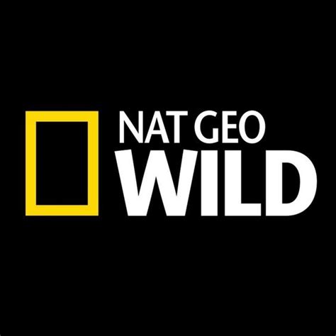 national geographic wild logo | NGS - Taking Care of Our Planet | Pinterest | National ...