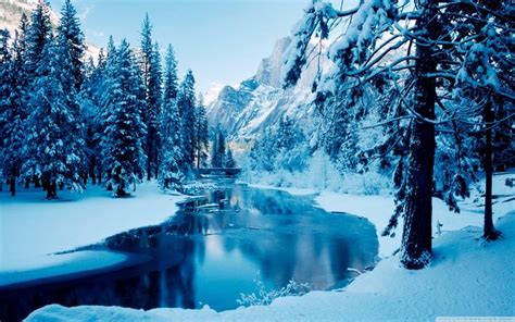 a river surrounded by trees covered in snow