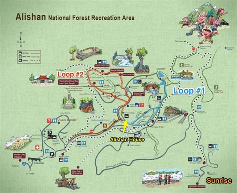 Ultimate Guide to Alishan National Recreational Forest and the Sunrise