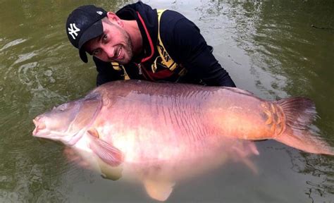 world record carp (pics) | FishUSA Forums