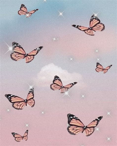 720P free download | Butterfly, aesthetic, cute, HD phone wallpaper | Peakpx