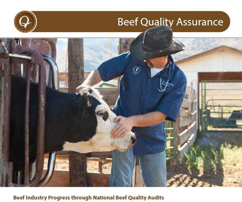 National Beef Quality Audits