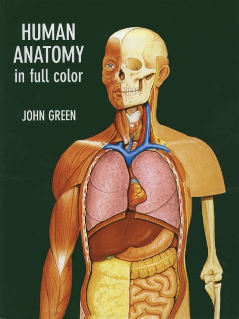 Human Anatomy in Full Color eBook by John Green - EPUB | Rakuten Kobo 9780486129631