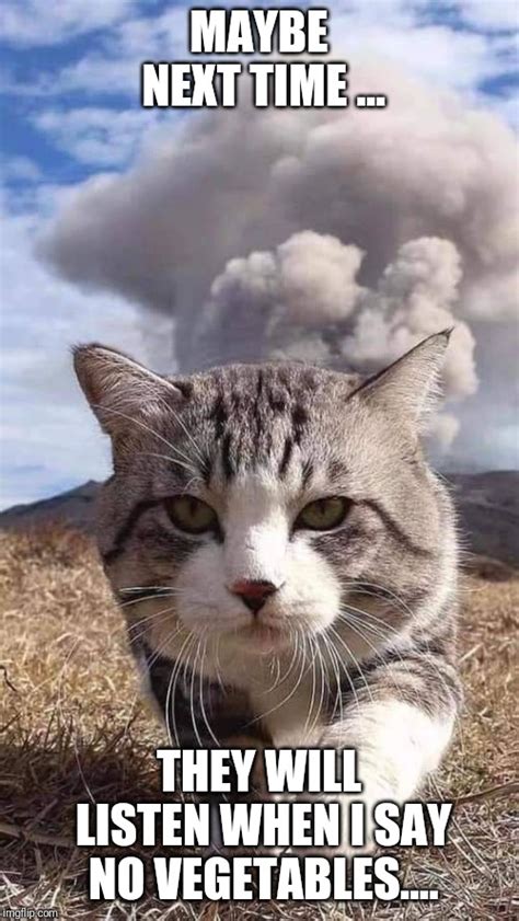 Image tagged in cat and the cloud - Imgflip