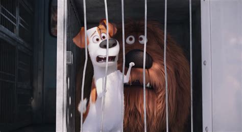 Image - Max and Duke captured by Animal Control.png | The Secret Life of Pets Wiki | FANDOM ...