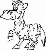 Zoo Zebra Coloring Page  Wecoloringpagecom sketch template