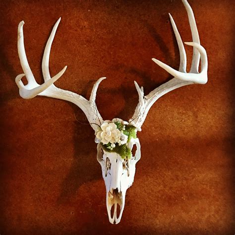 Embellished Whitetail deer skull European mount | Deer skulls, Skull ...