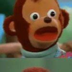 Surprised monkey puppet Meme Generator - Imgflip