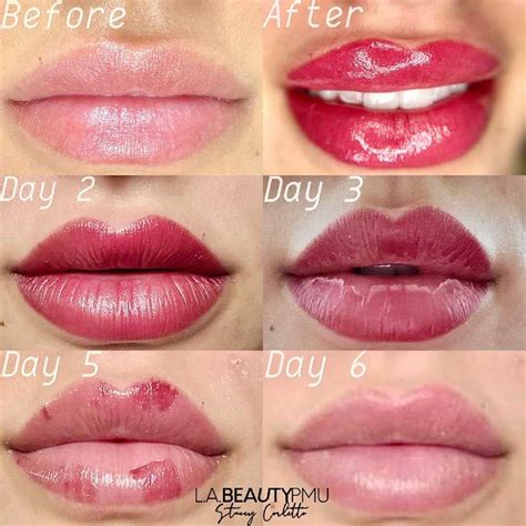 Lip Blush Aftercare - How to Get the Best Lip Tattoo Results | Lip color tattoo, Lip tattoos ...