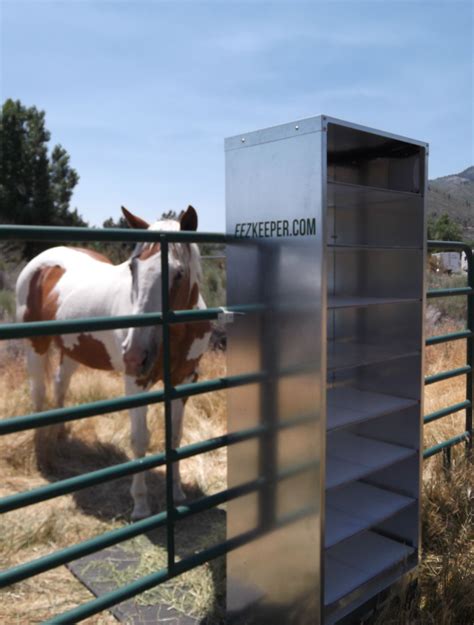 Cow Feeder, Horse Feeder, Large Animals, Zoo Animals, Funny Animals, Hay Feeder For Horses ...