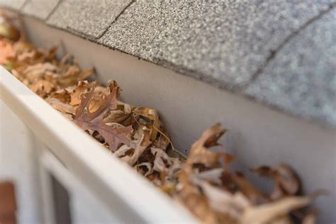 Best Gutter Guards | Northwest Indiana Buyers Guide