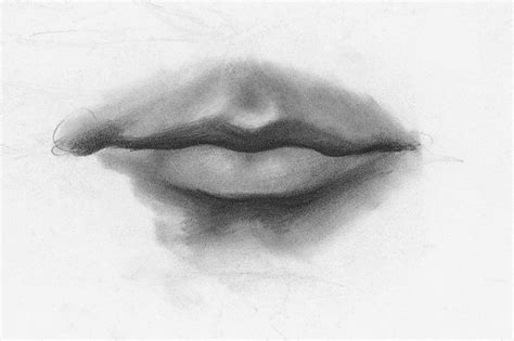 Drawing Lips, Male, Demo, Step 3 | Lee Hammond | How to Draw Facial ...