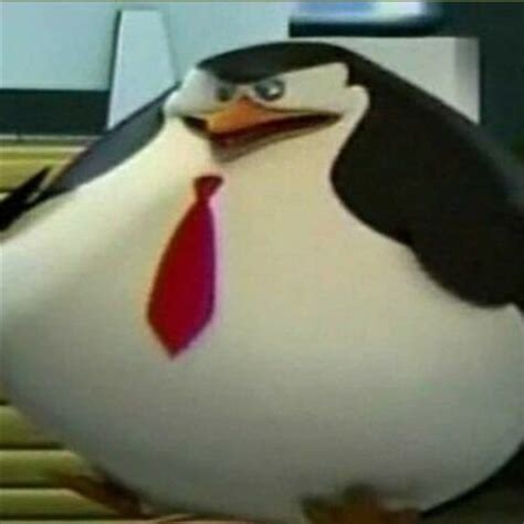 fat penguin Blank Template - Imgflip