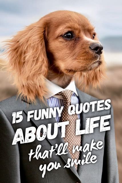 Funny Quotes On Life In English - MCgill Ville