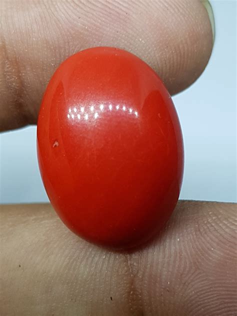 Red Coral Gemstone / Oval Cabochon Stone / Loose Gemstone / | Etsy