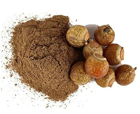 Wonderful benefits and uses of Reetha ( Indian soapberry )