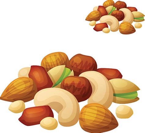 Royalty Free Nuts Clip Art, Vector Images & Illustrations - iStock