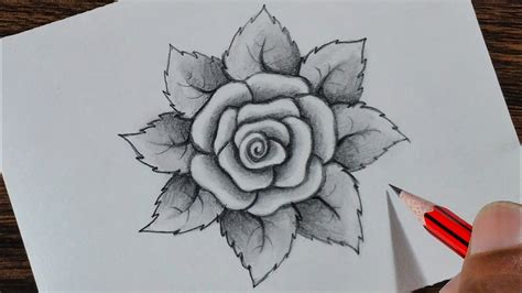 How to draw a Rose step by step - YouTube