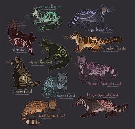 Viverrids - Terrestrial Civets by Aphrael7 on DeviantArt