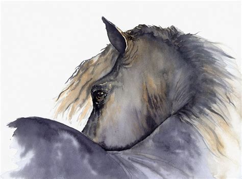 Watercolor Horse Paintings at GetDrawings | Free download