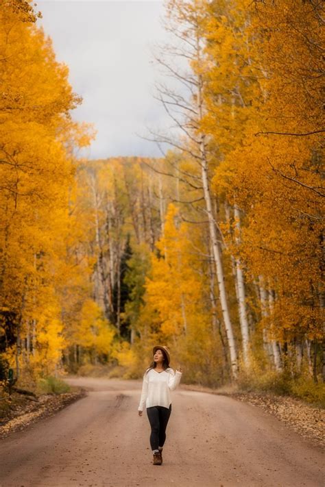 The Complete Travel Guide to Chasing Fall Foliage in Colorado ...