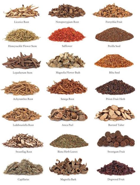 Common Chinese medicinal herbs | Herbs, Chinese herbs, Chinese medicinal herbs