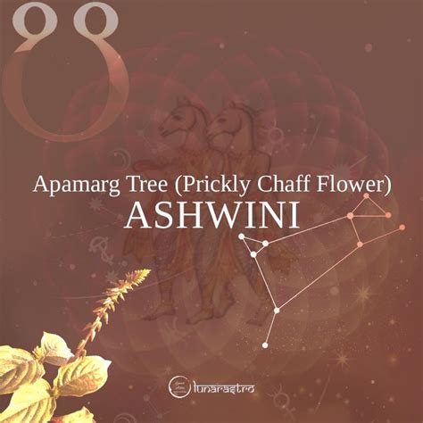 Ashwini Nakshatra | Learn astrology, Indian names, Constellations