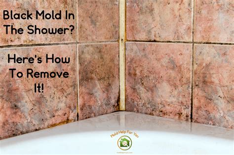 Remove Mold Bathroom Tile Grout – Bathroom Guide by Jetstwit
