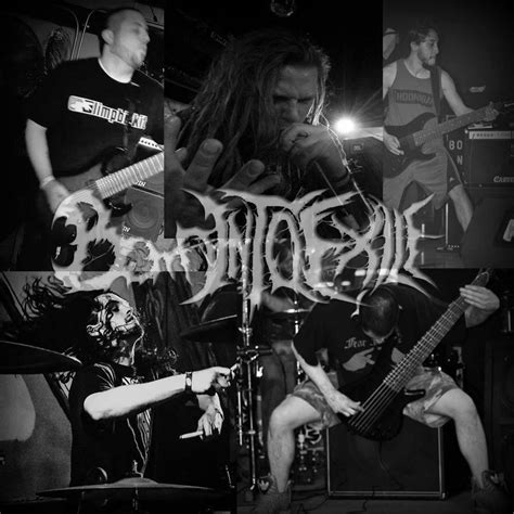 Born Into Exile - Discography ( Deathcore) - Download for free via torrent - Metal Tracker