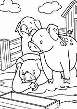 Free & Easy To Print Pig Coloring Pages  Tulamama sketch template
