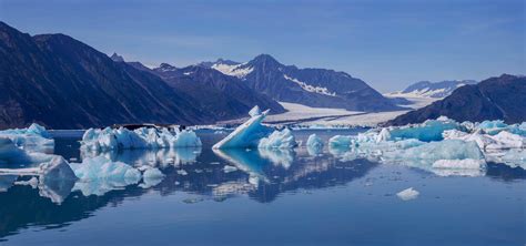 Bear Glacier Lagoon, Kenai Fjords NP (The most incredible place I've ever been) : r/alaska